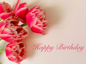 スタッフの誕生日をお祝いしました│日頃の感謝を込めて